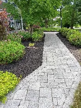 Francisco's Landscaping photo 2