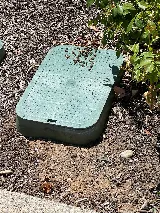 Craig & Sons Termite & Pest Control, Inc photo 6
