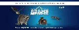 Adams Pest Control Moncton photo 5
