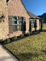 Proactive Landscaping photo 4