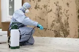 Brooks Pest Control photo 4