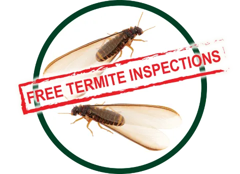 Kilter Termite and Pest Control in Orange