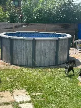 St-Louis Pools Inc. photo 7