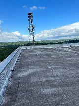 D&j pest control photo 2