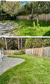 Green Bamboo Landscaping photo 10