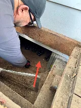 Pest Shield photo 5