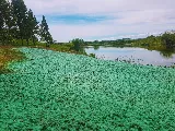 Calgary Landscape Solutions photo 10