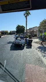 Greentree Pest Control photo 7
