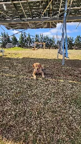 Sunly Energy photo 7