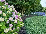 Andy's Lawn & Landscape photo 4