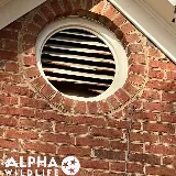 Alpha Wildlife Memphis photo 8