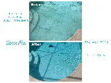 Tampa Bay Pool Service photo 6