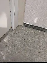 Abell Pest Control photo 5