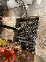 NYC Extermination photo 4