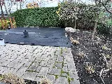 SET Jardin photo 8