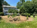 Cesar's Lawn Maintenance and Masonry