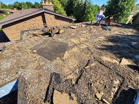 Best Flat Roof photo 1