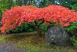 M2 Landscaping LLC photo 6