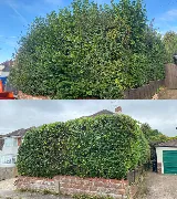 Ascent Yard Care photo 2