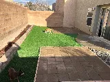 Arborscapes Ground Maintenance and Landscaping, LLC photo 6