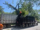 Perfect Landscape Tree & Services Inc photo 8