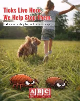 ABC Termite & Pest Control photo 5