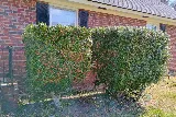 LawnStarter Landscaping