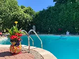 Get Wet Pool Services photo 4