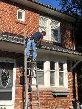 Pestend Pest Control Vaughan