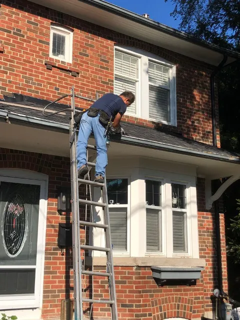 Pestend Pest Control Vaughan in Vaughan