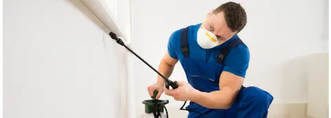Fraser Valley Pest Control photo 1