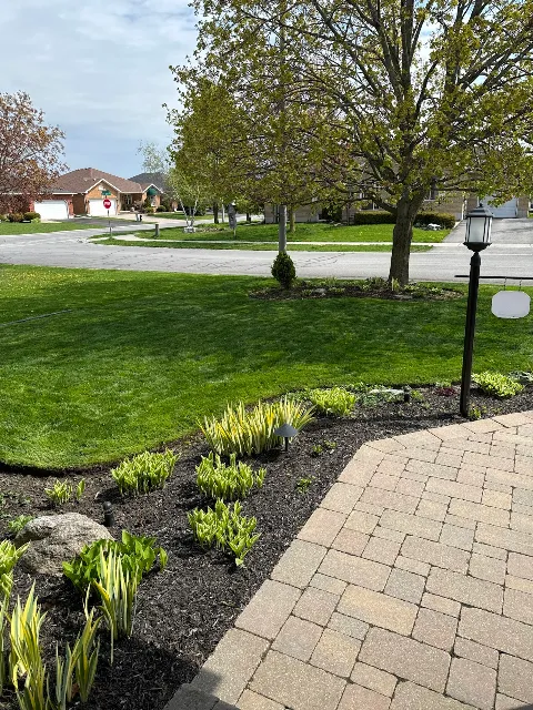 Corepro Landscaping photo 1