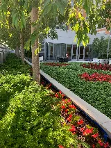 NY Horticulture Group