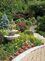 Beyond Landscaping photo 6
