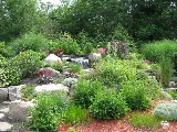 Greencare Landscape Management photo 7