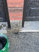 Masonry Masters photo 4
