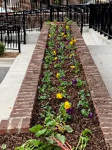 Complete Grounds Commercial Landscaping photo 4