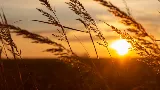 Sun Collectors