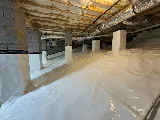 Gibson Pest Control photo 3