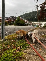 Kanawha Valley Maintenance photo 3