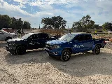 Cen-Tex Pest Control photo 4