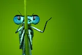 Eradicon Pest Management photo 3