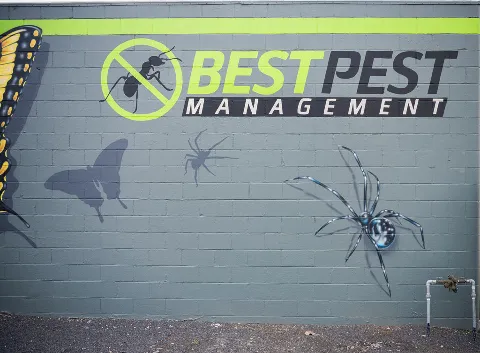 Best Pest Management photo 1