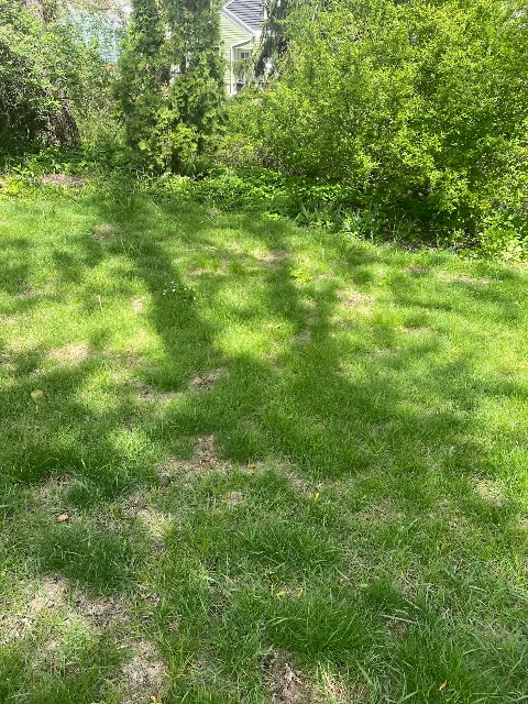 Great Outdoors in Ann Arbor