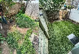 EAS Landscaping photo 8