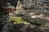 St. Jacobs Landscaping photo 4
