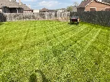 Barefoot Lawns & Lights photo 2