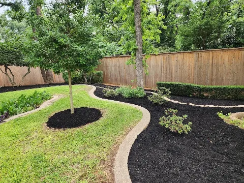 Lone Star Lawns, Arlington, TX in Arlington