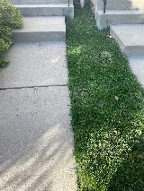 Moxie Pest Control photo 7