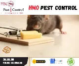 HMO - Residential and Commercial Pest Control Charlotte photo 5